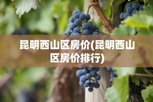 昆明西山区房价(昆明西山区房价排行)