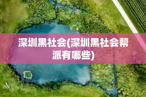 深圳黑社会(深圳黑社会帮派有哪些)