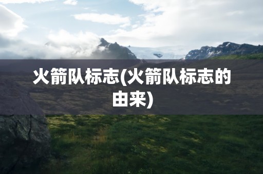 火箭队标志(火箭队标志的由来)