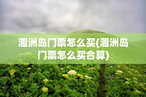 涠洲岛门票怎么买(涠洲岛门票怎么买合算)