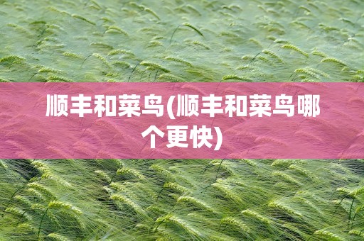 顺丰和菜鸟(顺丰和菜鸟哪个更快)