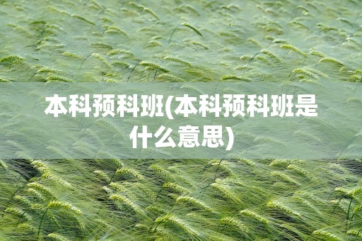 本科预科班(本科预科班是什么意思)
