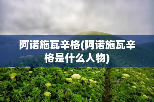 阿诺施瓦辛格(阿诺施瓦辛格是什么人物)