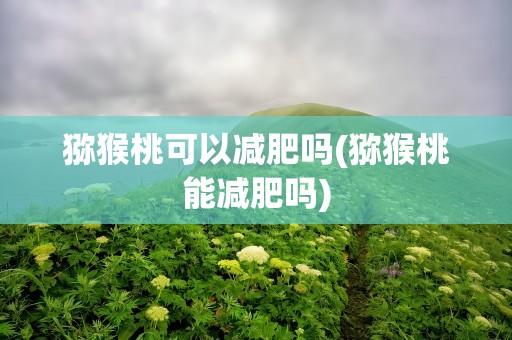 猕猴桃可以减肥吗(猕猴桃能减肥吗)