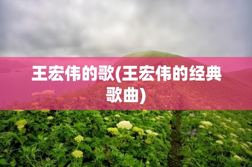 王宏伟的歌(王宏伟的经典歌曲)