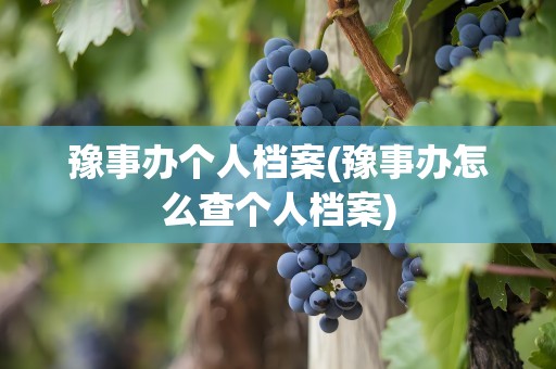 豫事办个人档案(豫事办怎么查个人档案)