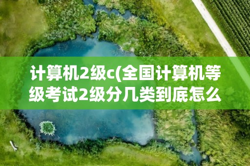 计算机2级c(全国计算机等级考试2级分几类到底怎么考啊)