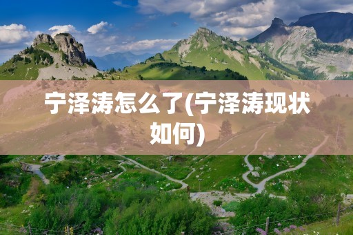 宁泽涛怎么了(宁泽涛现状如何)