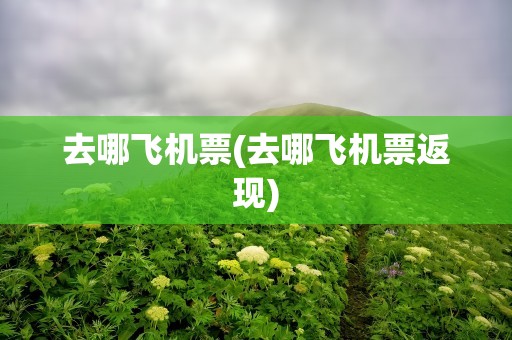 去哪飞机票(去哪飞机票返现)