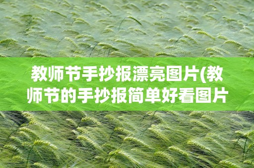 教师节手抄报漂亮图片(教师节的手抄报简单好看图片大全)
