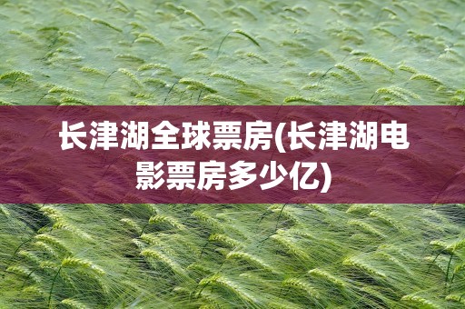 长津湖全球票房(长津湖电影票房多少亿)