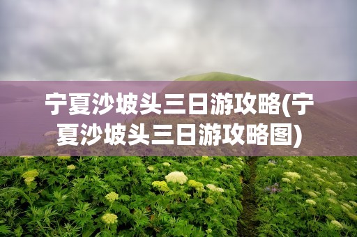 宁夏沙坡头三日游攻略(宁夏沙坡头三日游攻略图)