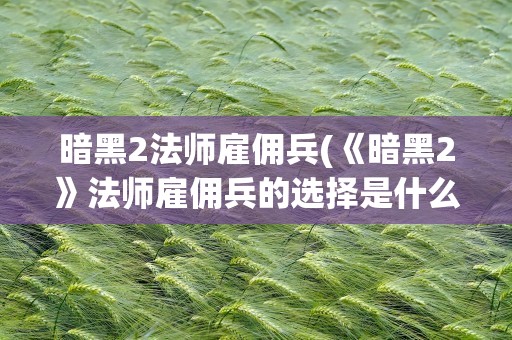 暗黑2法师雇佣兵(《暗黑2》法师雇佣兵的选择是什么)