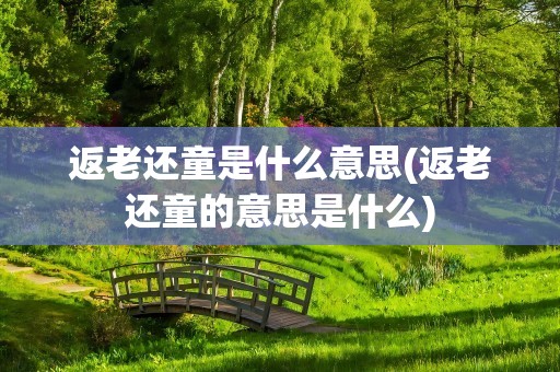 返老还童是什么意思(返老还童的意思是什么)
