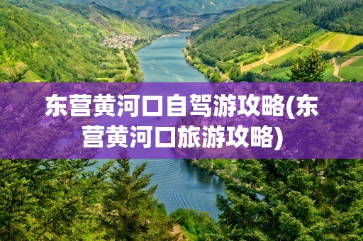 东营黄河口自驾游攻略(东营黄河口旅游攻略)
