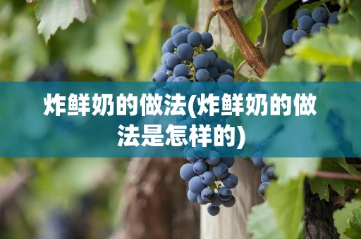 炸鲜奶的做法(炸鲜奶的做法是怎样的)