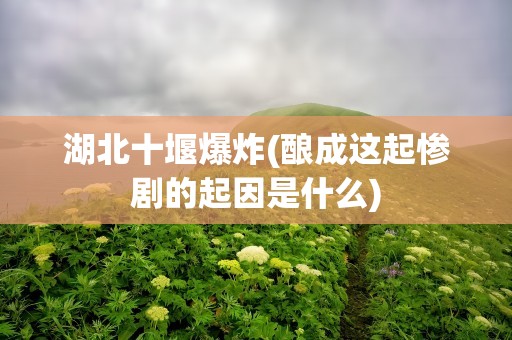湖北十堰爆炸(酿成这起惨剧的起因是什么)