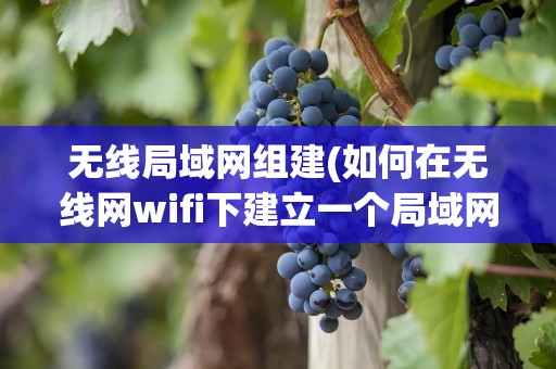 无线局域网组建(如何在无线网wifi下建立一个局域网)
