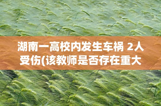 湖南一高校内发生车祸 2人受伤(该教师是否存在重大过失)