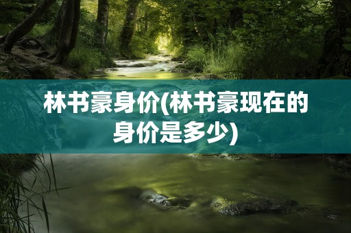 林书豪身价(林书豪现在的身价是多少)
