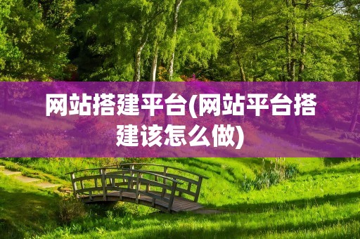 网站搭建平台(网站平台搭建该怎么做)