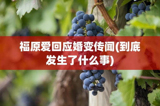福原爱回应婚变传闻(到底发生了什么事)