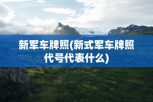 新军车牌照(新式军车牌照代号代表什么)