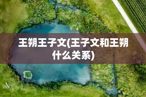 王朔王子文(王子文和王朔什么关系)