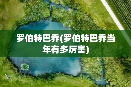 罗伯特巴乔(罗伯特巴乔当年有多厉害)