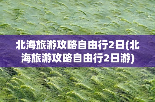 北海旅游攻略自由行2日(北海旅游攻略自由行2日游)