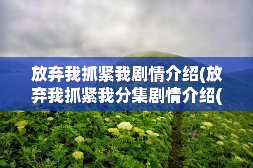 放弃我抓紧我剧情介绍(放弃我抓紧我分集剧情介绍(1)
