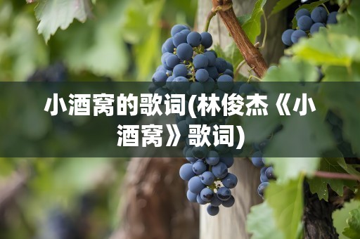 小酒窝的歌词(林俊杰《小酒窝》歌词)