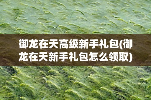 御龙在天高级新手礼包(御龙在天新手礼包怎么领取)
