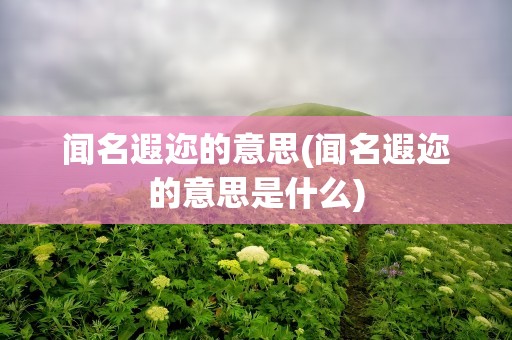 闻名遐迩的意思(闻名遐迩的意思是什么)
