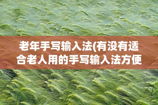 老年手写输入法(有没有适合老人用的手写输入法方便操作的)