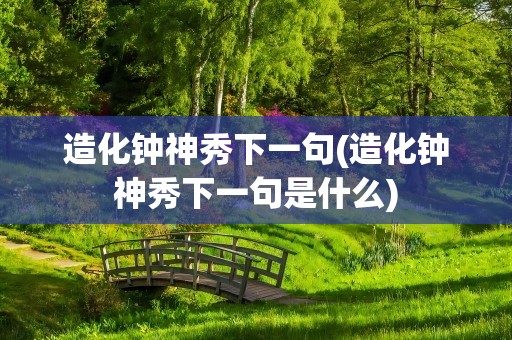 造化钟神秀下一句(造化钟神秀下一句是什么)