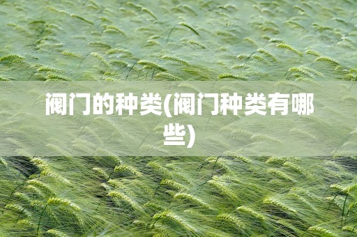 阀门的种类(阀门种类有哪些)
