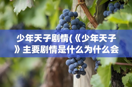 少年天子剧情(《少年天子》主要剧情是什么为什么会成为经典)