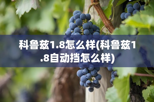 科鲁兹1.8怎么样(科鲁兹1.8自动挡怎么样)
