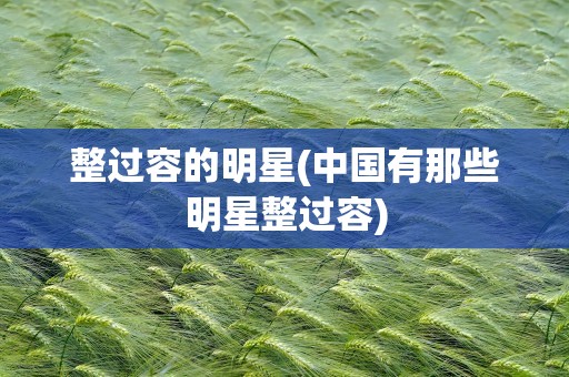 整过容的明星(中国有那些明星整过容)