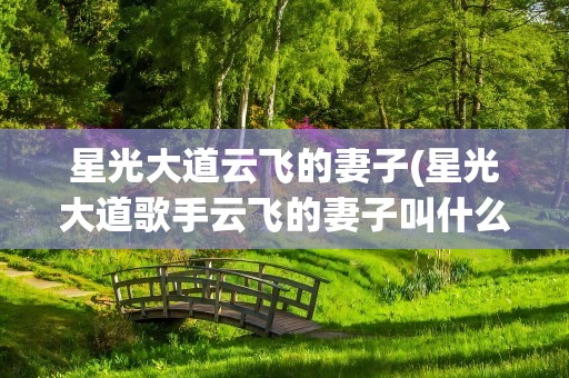 星光大道云飞的妻子(星光大道歌手云飞的妻子叫什么名字)