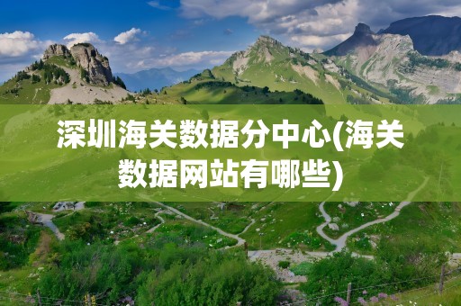 深圳海关数据分中心(海关数据网站有哪些)