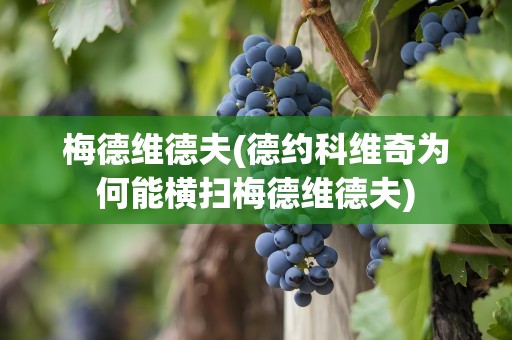 梅德维德夫(德约科维奇为何能横扫梅德维德夫)