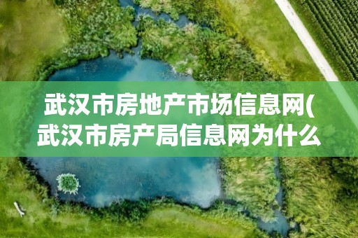 武汉市房地产市场信息网(武汉市房产局信息网为什么无法查询信息)