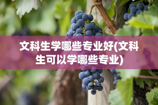 文科生学哪些专业好(文科生可以学哪些专业)