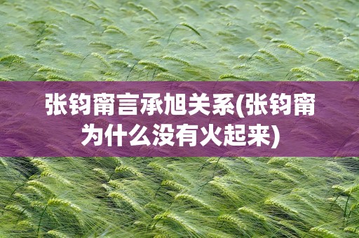张钧甯言承旭关系(张钧甯为什么没有火起来)