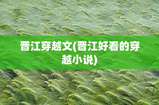 晋江穿越文(晋江好看的穿越小说)