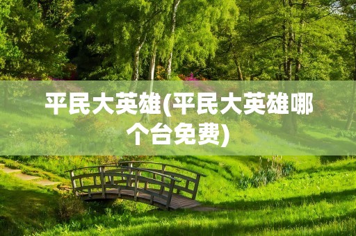 平民大英雄(平民大英雄哪个台免费)