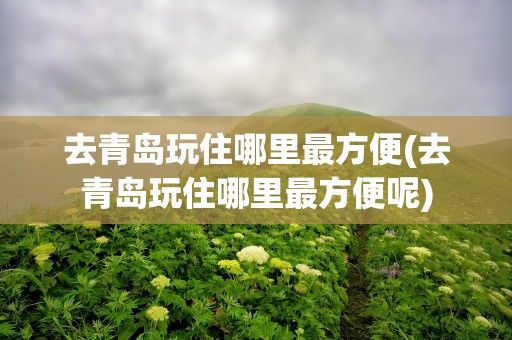 去青岛玩住哪里最方便(去青岛玩住哪里最方便呢)