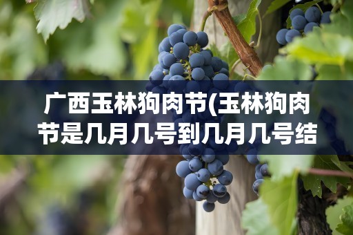 广西玉林狗肉节(玉林狗肉节是几月几号到几月几号结束)
